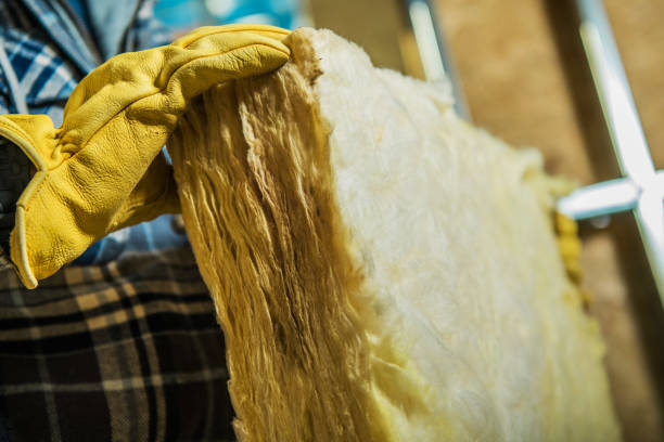 Best Insulation Maintenance and Repair in Dillon, CO
